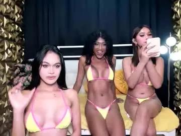 Freechat expensivefvckingcandy on Chaturbate