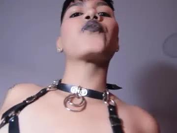 Freechat taylorharp on Chaturbate