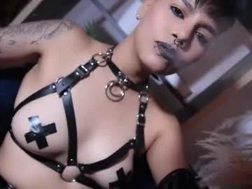 Freechat taylorharp on Chaturbate