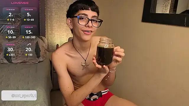 Freechat Matty_Sparkk on StripChat