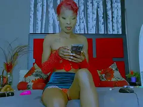 Freechat MissParis26 on StripChat